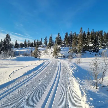 Mountain With Stunning Views, Sauna & Eggedal